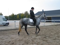 LF HSC - 0948_web